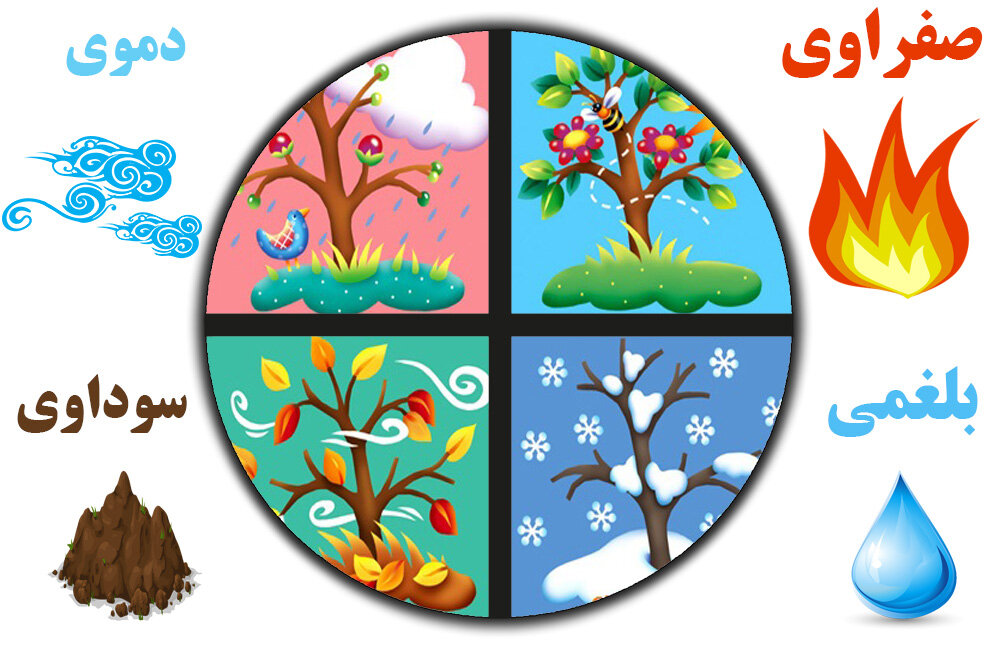 دلیل خواب‌های رنگی چیست؟/ وجود کرم و هزارپا در خواب چه علتی دارد؟/ چرا برخی خواب‌ها را از یاد می‌بریم؟