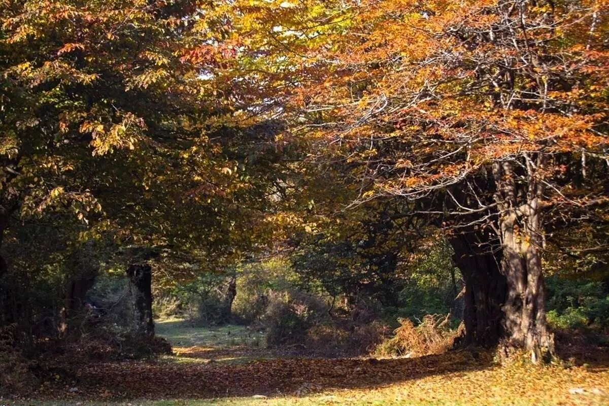 کمپ زیر آسمان پاییز/ ۵ مقصد بکر برای کمپینگ در نیمه دوم سال