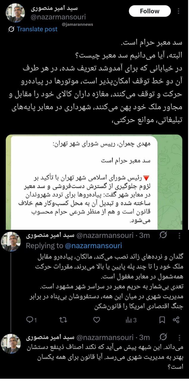 واکنش یک استاد دانشگاه به اظهارات چمران درباره دستفروشان/ دستفروشان بیپناه در برابر جنگ اقتصادی امریکا را قانونشکن میدانند!