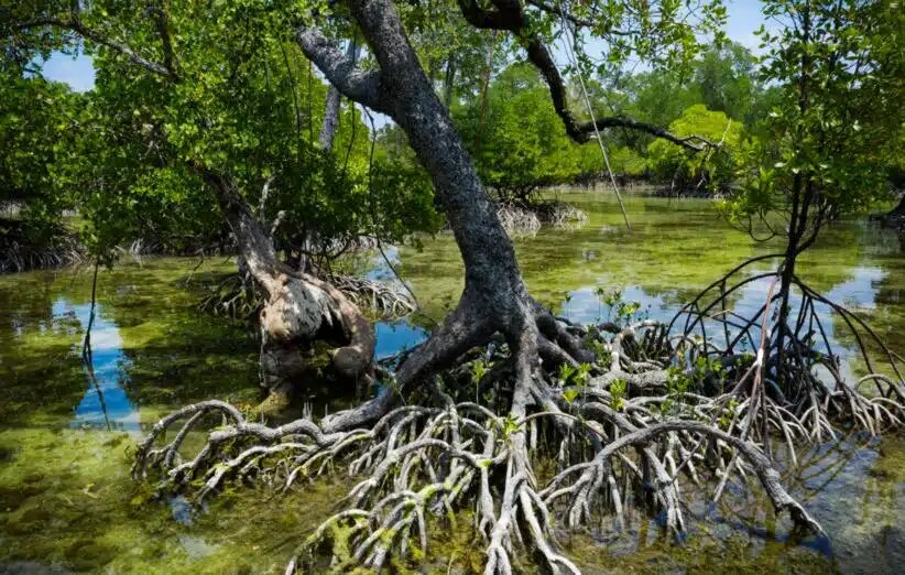 ثبت «جهانی» سه روستای ایرانی در سال ۲۰۲۵/ از حرا تا البرز؛ آشنایی با میراث زنده گردشگری