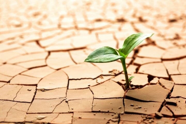 ‌خشکسالی و فرونشست؛ دو عامل هم‌افزا در بحران لرزه‌ای تهران/ بحران پمپاژ آب، احتمال زلزله بزرگ را افزایش می‌دهد/ خطرناک‌ترین گسل ایران کجاست؟