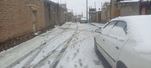 لیقوان سفید پوش شد/ عکس