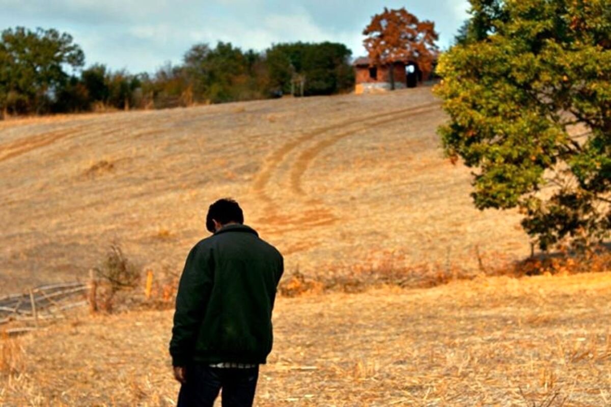 استادِ نشان دادن اضطرابِ آدمهای سرگشته/ نوری بیلگه جیلان به ایران میآید