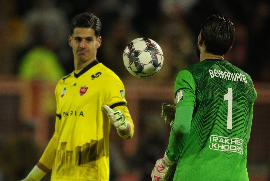 اگر میتوانی من را بگیر!