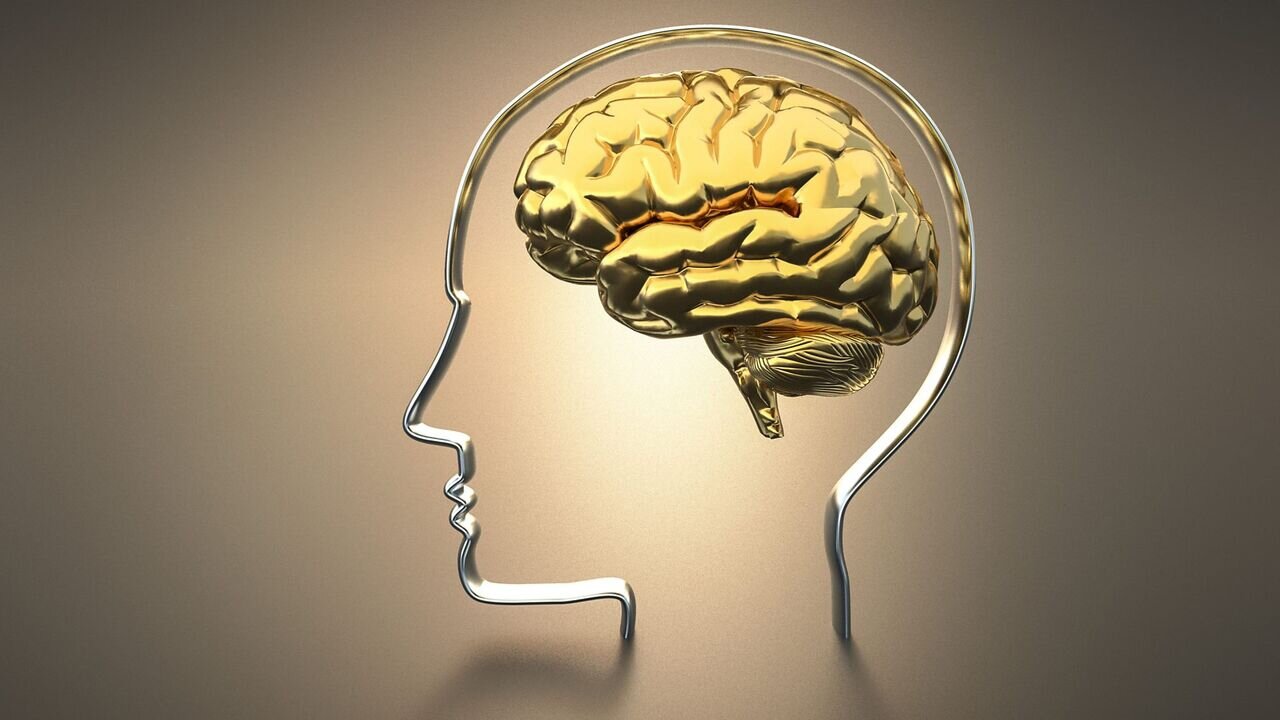 کمبود این ویتامین‌ها باعث کاهش حافظه می‌شود/ موثرترین راه پیشگیری از ضعف حافظه