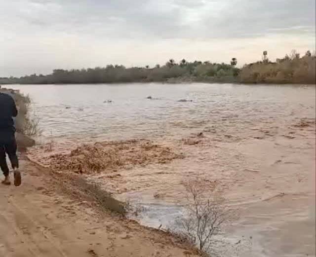 سیل‌بند شکست/ زمین‌های کشاورزی مردم در این منطقه زیر آب رفت