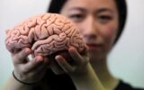 چه کنیم مغزمان جوان‌ بماند؟