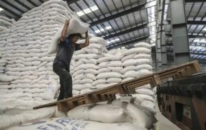 بازار برنج کی به تعادل می‌رسد؟