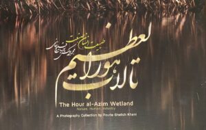 تلفیق هنر و محیط زیست؛ یک سال‌ونیم پژوهش و سفر میدانی در یک اثر نفیس