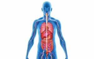 هزینه ساخت یک انسان ۷۰ کیلوگرمی: ۷۰ برابر مصرف برق جهان!