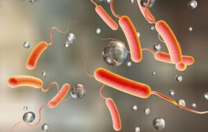 هشدار سازمان جهانی بهداشت؛ شیوع گسترده یک بیماری کشنده در ۳۱ کشور