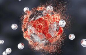 این میوه با رشد سلول‌های سرطانی مبارزه می‌کند