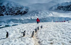 زیر یخ‌های عظیم جنوبگان چه چیزهایی مدفون است؟