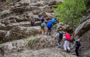 سرنوشت دو کوهنورد مفقود شده در دماوند اعلام شد