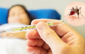 از ابتدای سال ۱۱۰۷ بیمار مبتلا به تب دنگی در کشور شناسایی شد/ صید پشه آئدس در ۱۱ استان از ابتدای سال ۱۱۰۷ بیمار مبتلا به تب دنگی در کشور شناسایی شد/ صید پشه آئدس در ۱۱ استان