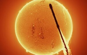 ده هزارمین ماهواره استارلینک به مدار رسید ده هزارمین ماهواره استارلینک به مدار رسید