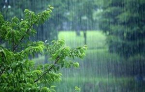 پیش‌بینی وضعیت آب‌وهوا طی روزهای آینده؛ بارش پراکنده در این استان‌ها