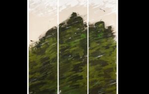 کارگردان سینما سروهایش را به شیراز می‌برد