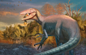 کشف «جواکین‌رپتور» در آرژانتین؛ یکی از آخرین شکارچیان بزرگ پیش از انقراض دایناسورها