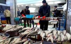 افزایش قیمت ماهی عجیب شد/ این ماهی روزانه ۱۰ هزار تومان گران می‌شود