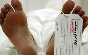 آمار مرگ‌های ناشی از مسمومیت با قرص برنج/ این استان‌ها بیشترین موارد مسمومیت را دارند