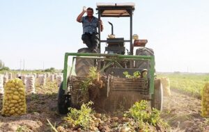 تصمیم ناگهانی عراق درباره ایران/ تجار شوکه شدند