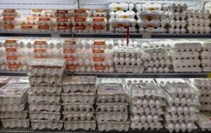 جنجال تخم‌مرغ از مرغداری تا بازار/ نیمرو با طعم تورم