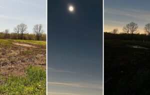 راز آوازهایی که پس از تاریکی «خورشیدگرفتگی» شنیده شد راز آوازهایی که پس از تاریکی «خورشیدگرفتگی» شنیده شد