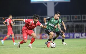 عکس| پوستر جالب پرسپولیس برای بازی با ذوب‌آهن با تم حیات وحش