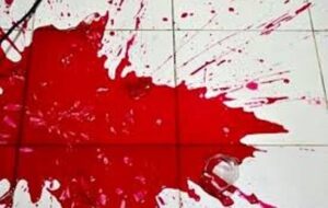 پسر ۲۶ ساله چه‌طور قاتل پدرش شد؟