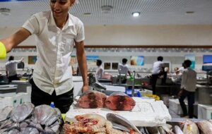 قیمت انواع آبزیان و ماهی در میادین میوه و تره‌بار اعلام شد