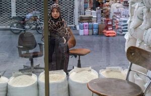 قیمت جدید برنج ایرانی در بازار قیمت جدید برنج ایرانی در بازار