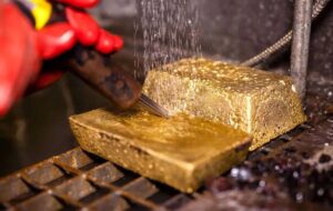 استخراج طلا از سَم! – نیوز تودی