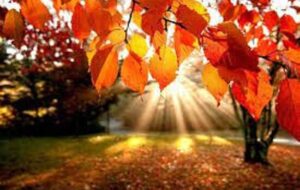 پیش‌بینی نگران‌کننده از وضعیت آب و هوا در پاییز و زمستان امسال