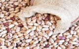 چراغ سبز به گرانی حبوبات / لوبیا چیتی هم قیمت گوشت شد/ افزایش ۶ برابری لوبیا چیتی با چه دلیل و منطقی؟