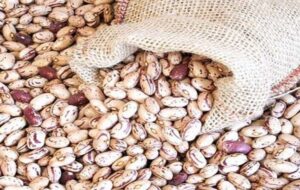 چراغ سبز به گرانی حبوبات / لوبیا چیتی هم قیمت گوشت شد/ افزایش ۶ برابری لوبیا چیتی با چه دلیل و منطقی؟