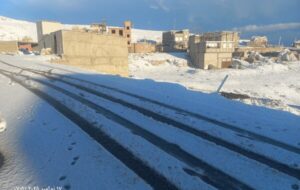 لیقوان سفید پوش شد/ عکس