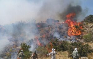 پایان عملیات اصلی اطفای حریق جنگلهای مازندران/ لکهگیری همچنان ادامه دارد پایان عملیات اصلی اطفای حریق جنگلهای مازندران/ لکهگیری همچنان ادامه دارد