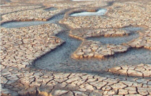 باران تا ۱۵ آذر نبارد، تهران تخلیه می شود؟/ توضیحات مهم مدیرعامل آبفای تهران درباره شرایط سدهای تهران را بخوانید باران تا ۱۵ آذر نبارد، تهران تخلیه می شود؟/ توضیحات مهم مدیرعامل آبفای تهران درباره شرایط سدهای تهران را بخوانید