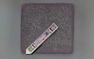 خواندن ذهن با دستگاهی کوچک‌تر از یک دانه نمک / آغاز عصر ایمپلنت‌های نامرئی