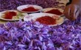 آیا زعفران می‌تواند باعث سقط جنین شود؟