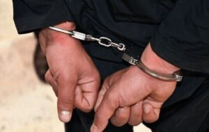 عامل آتش‌سوزی جنگل های هیرکانی دستگیر شد