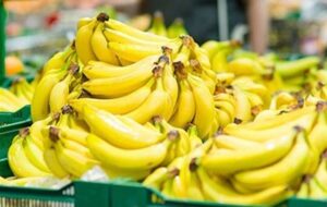 قیمت موز باید بسیار پایین‌تر باشد/ رانت واردات موز در قبال صادرات سیب!