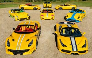 ماشین‌باز واقعی / مردی با ۴۸ فراری، مالک نادرترین مجموعه اسب‌های مارانلو / عکس