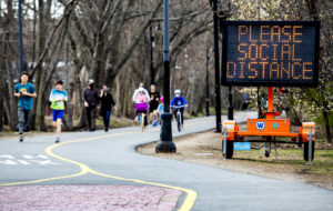 مورچه‌ها چطور جلوی شیوع بیماری را می‌گیرند / استادان دفاع غریزی در برابر عفونت