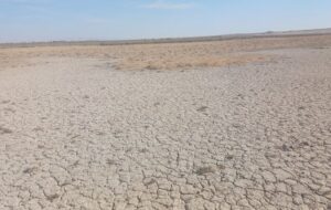 تالاب بندعلیخان خشک شد – نیوز تودی تالاب بندعلیخان خشک شد – نیوز تودی