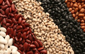 تصمیم جدید دولت برای بازار حبوبات / لوبیا لوکس شد!