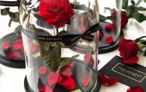 قیمت گل در روز مادر چند برابر شد؟ + جدول قیمت