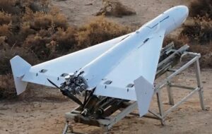 مشهورترین سلاح جهان / همه این پرنده ایرانی را می‌خواهند