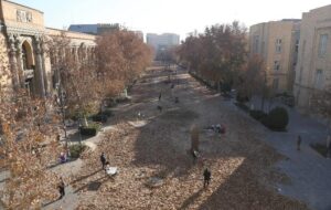 پاییز ـ برگ با۴١ اثر هنری در میدان مشق